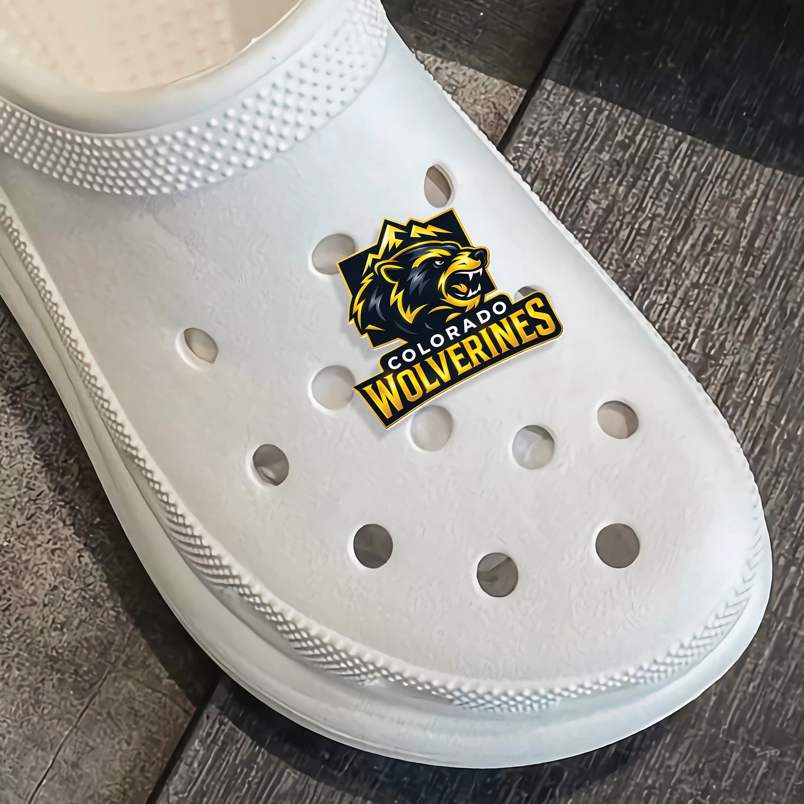 Colorado Wolverines Shoe Charm